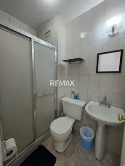 Vista 15