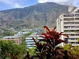 View 11
