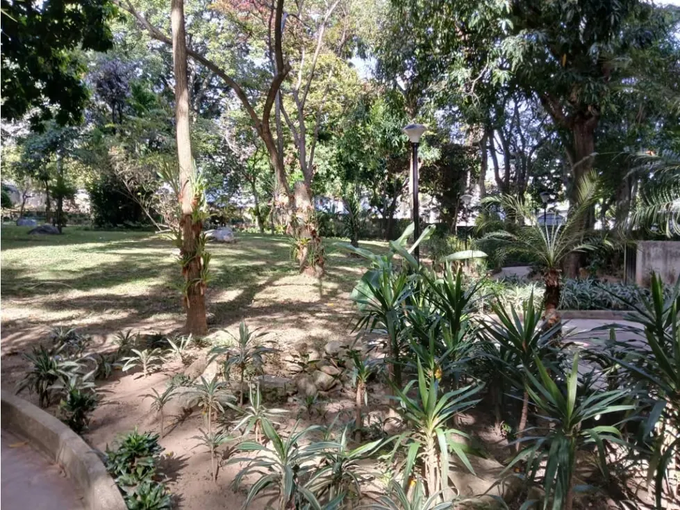Vendo apartamento 232m2 Santa Eduvigis 1634 - 29