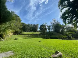 Vista 10
