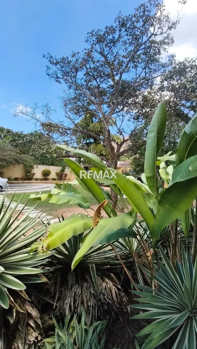 OPORTUNIDAD EN COLINAS DE GUATAPARO - VENTA DE CASA DE UNA PLANTA - 6