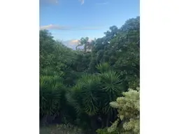 Vista 10