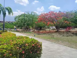 Vista 11