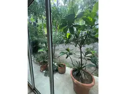 Vista 13