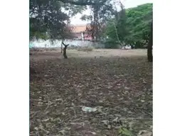 Vista 5