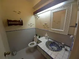 Vista 20