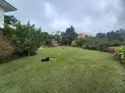 Vista 46