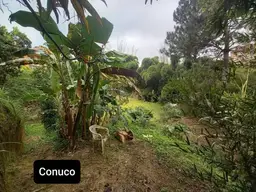 Vista 48