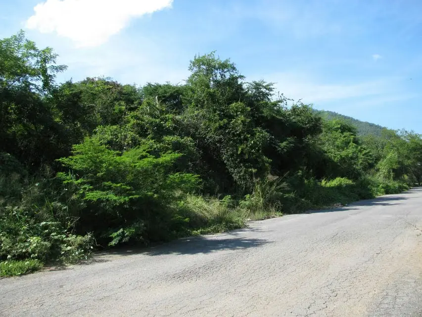 Terreno (Industrial) en Venta en Sector Industrial Cloris, Miranda - 4