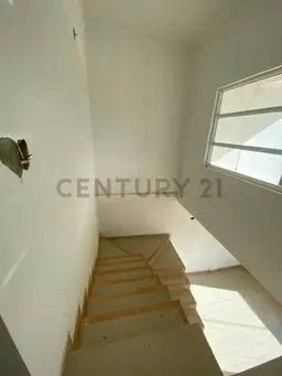 Vista 5