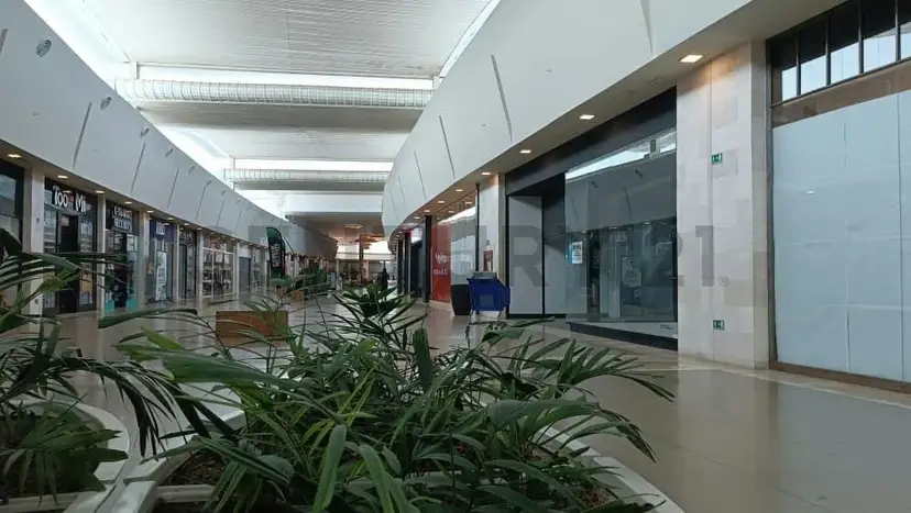 Local Comercial para zapatería, disponible para alquiler