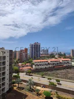 Vista 13