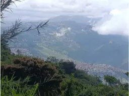 View 1