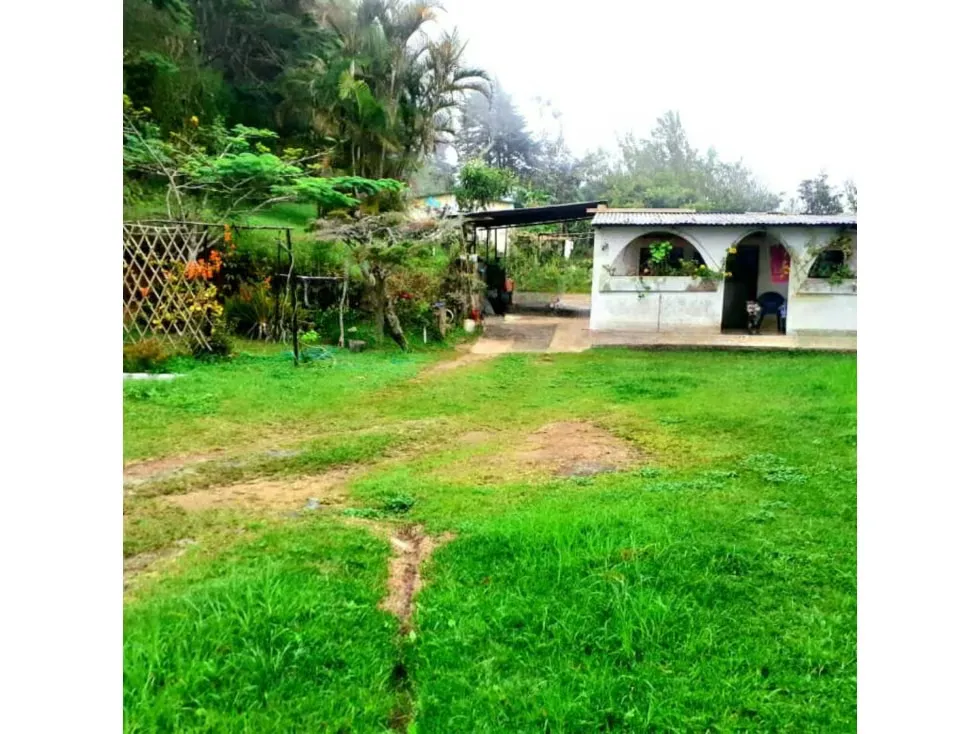 2 casas en Venta Camino de Los Españoles 120 M2 y 56 M2 (RD) - 2