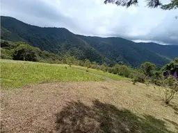 View 15