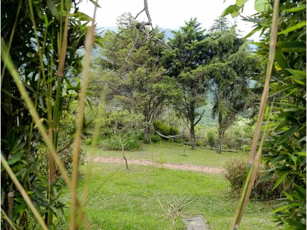 2 casas en Venta Camino de Los Españoles 120 M2 y 56 M2 (RD) - 8