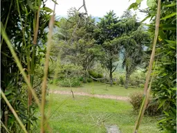 View 8