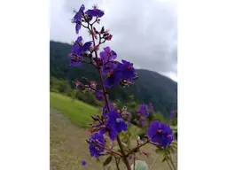 View 10