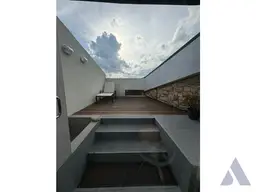 Vista 11