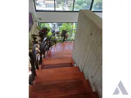 Vista 4