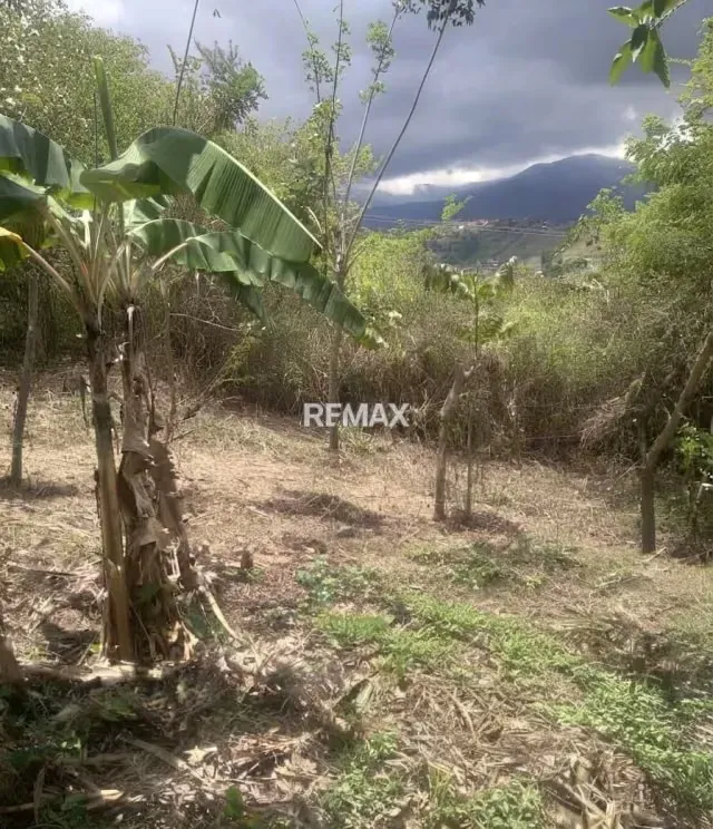 Venta en Exclusiva: Lote de Terreno en El Torbes - 2