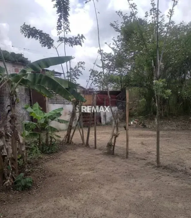 Venta en Exclusiva: Lote de Terreno en El Torbes - 3