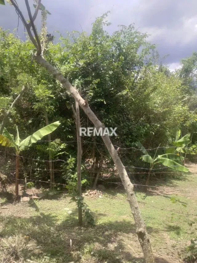 Venta en Exclusiva: Lote de Terreno en El Torbes - 5