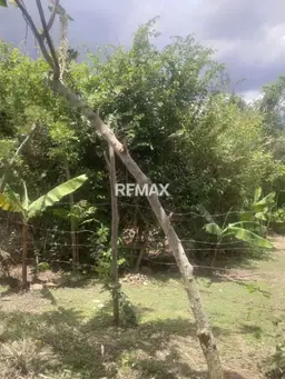 View 5