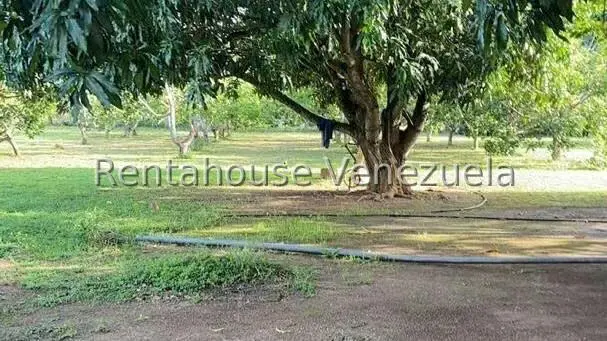 Casa (Colonial) en Venta en Barrera, Carabobo - 12