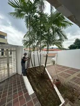 Vista 4