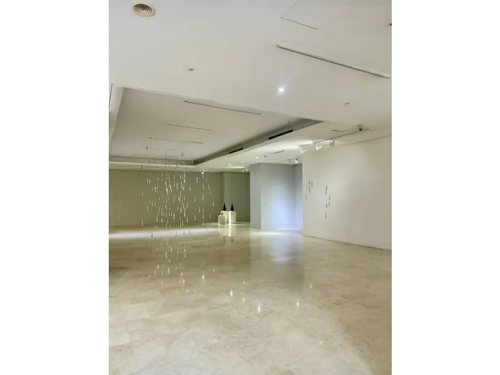 Vendo edificio c/ terraza 2080m2 Las Mercedes 4775