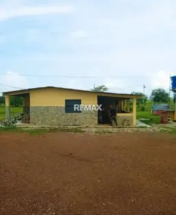 Vista 1