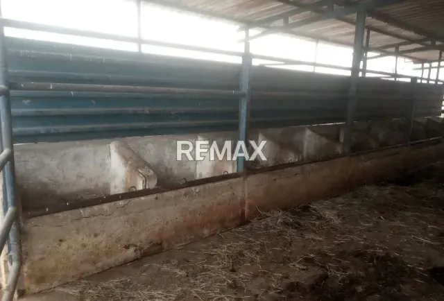 Venta de Finca 450 ha con todo incluido Tinaco Edo. Cojedes - 11