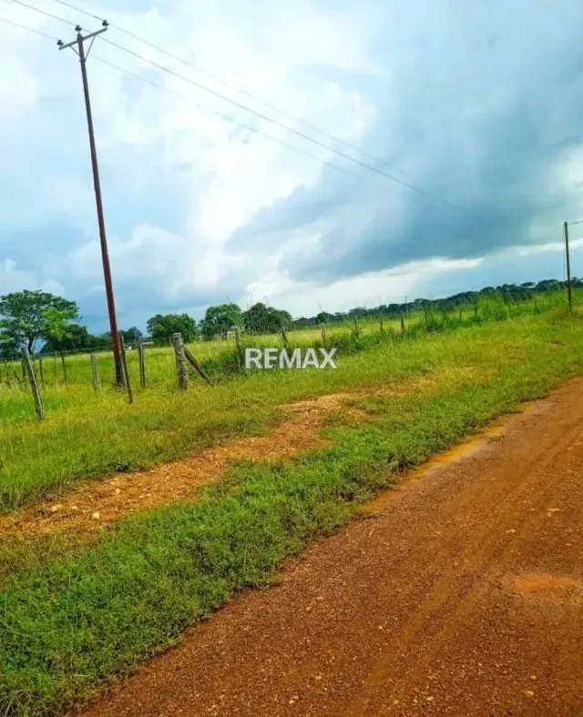 Venta de Finca 450 ha con todo incluido Tinaco Edo. Cojedes - 3