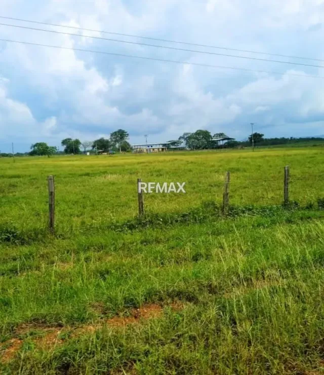 Venta de Finca 450 ha con todo incluido Tinaco Edo. Cojedes - 4