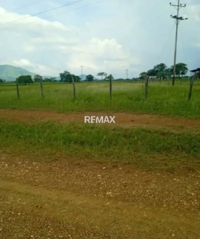 Venta de Finca 450 ha con todo incluido Tinaco Edo. Cojedes - 5