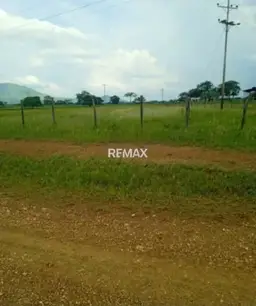 Vista 5