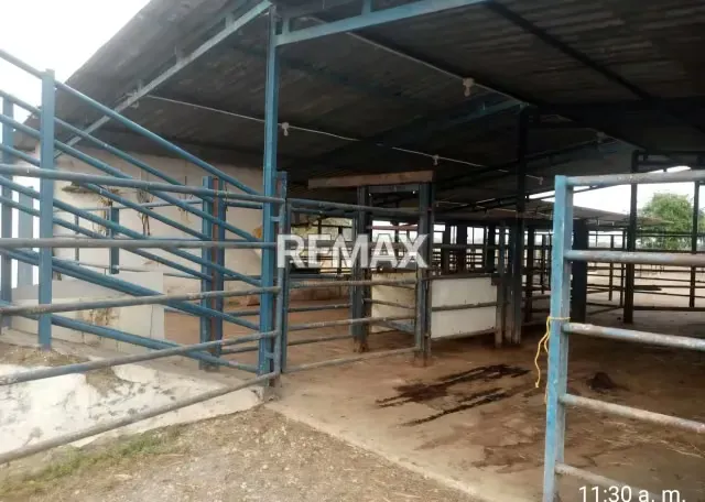 Venta de Finca 450 ha con todo incluido Tinaco Edo. Cojedes - 8