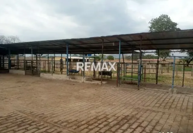 Venta de Finca 450 ha con todo incluido Tinaco Edo. Cojedes - 10