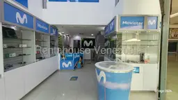 Vista 6