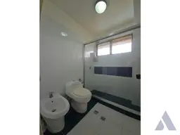 Vista 29