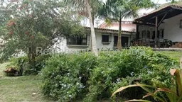 View 26