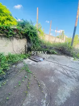 View 14