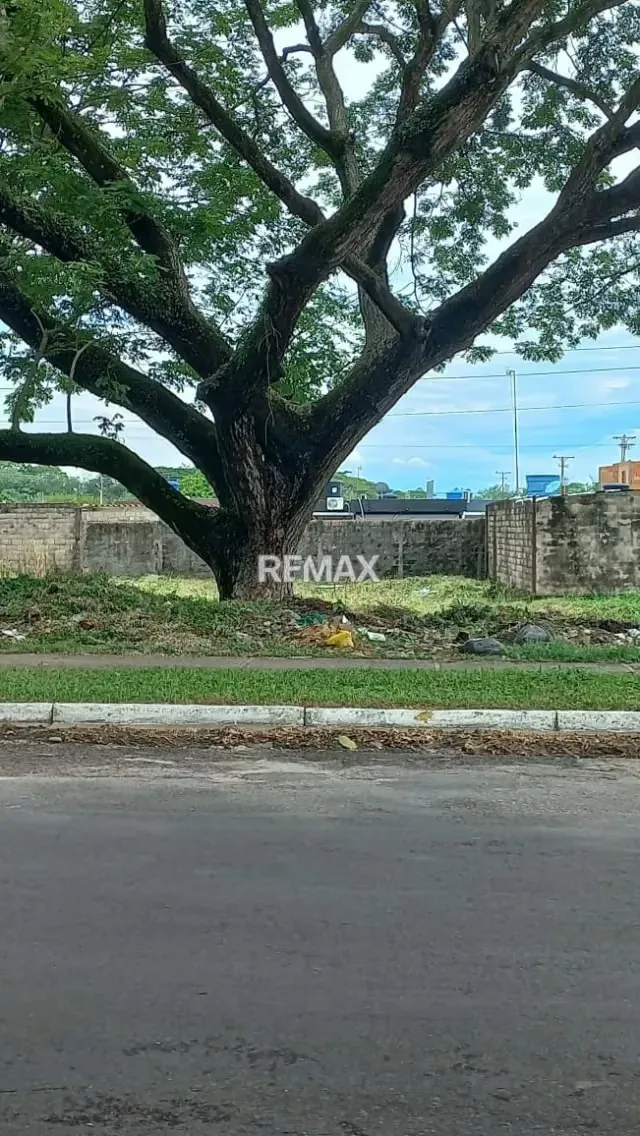 TERRENO EN VENTA EN LA FRIA - 4