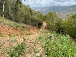 Vista 1