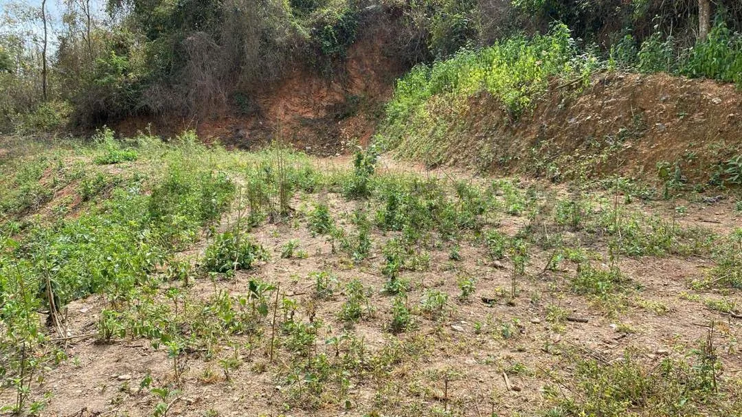 En Venta espectacular terreno de 2000 mt2 en Caicaguana El Hatillo - 4
