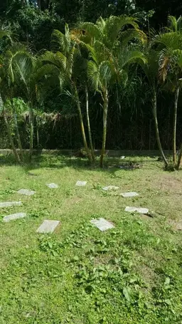 Vista 5