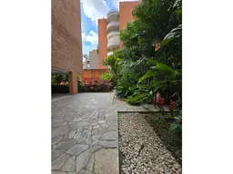 Vista 19