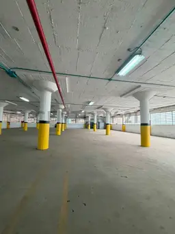 Vista 24