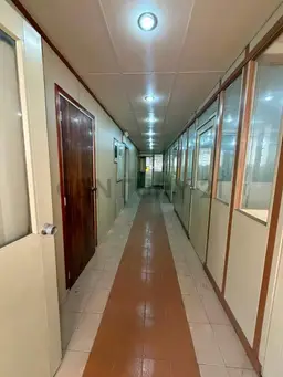Vista 25